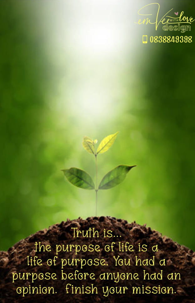 LIFE OF PURPOSE LIFE OF PURPOSE